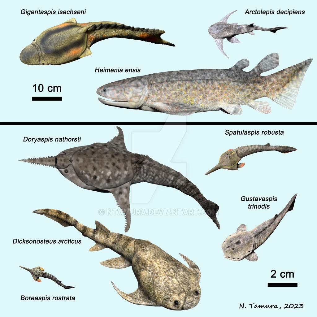 Devonian Fish Series #9 by NTamura on DeviantArt