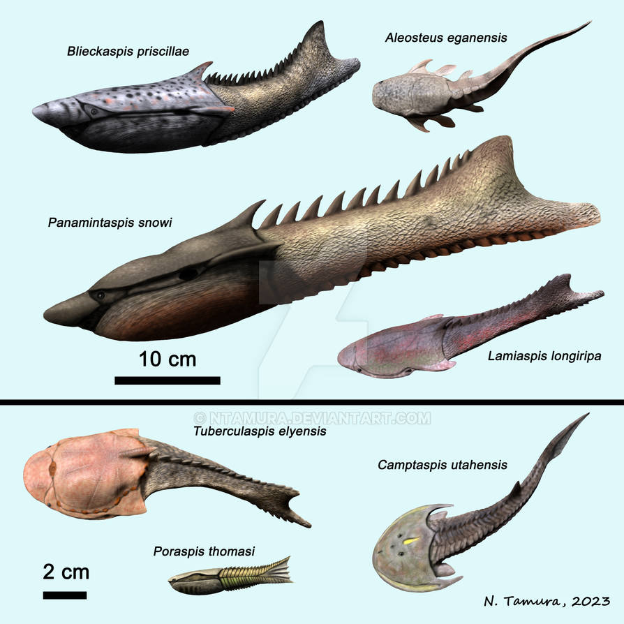 Devonian Fish Series #10 by NTamura on DeviantArt