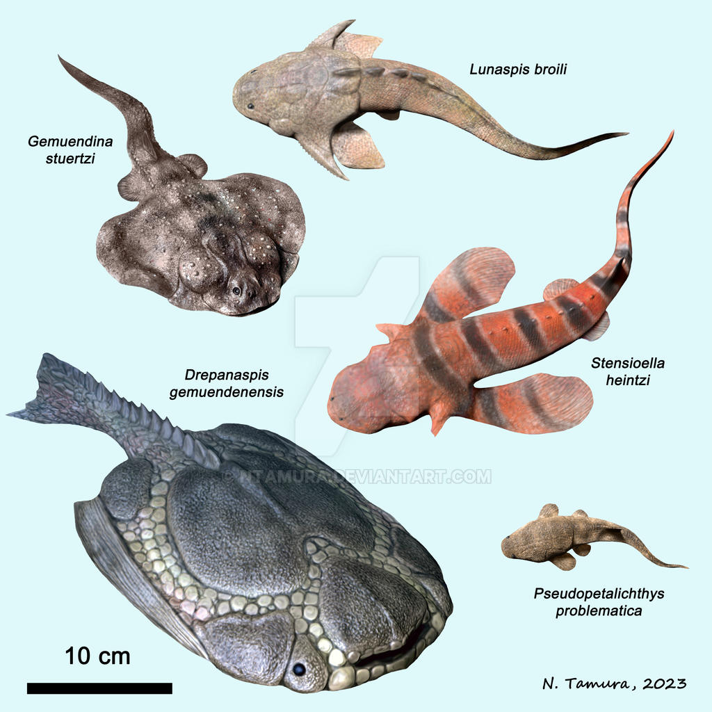 Devonian Fish Series #11 by NTamura on DeviantArt
