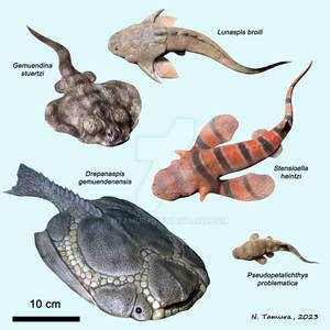 Devonian Fish Series #11