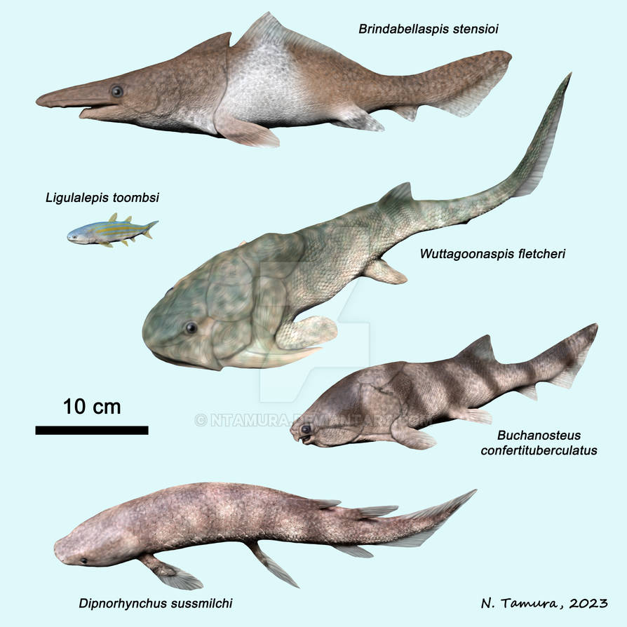 Devonian Fish Series #12 by NTamura on DeviantArt