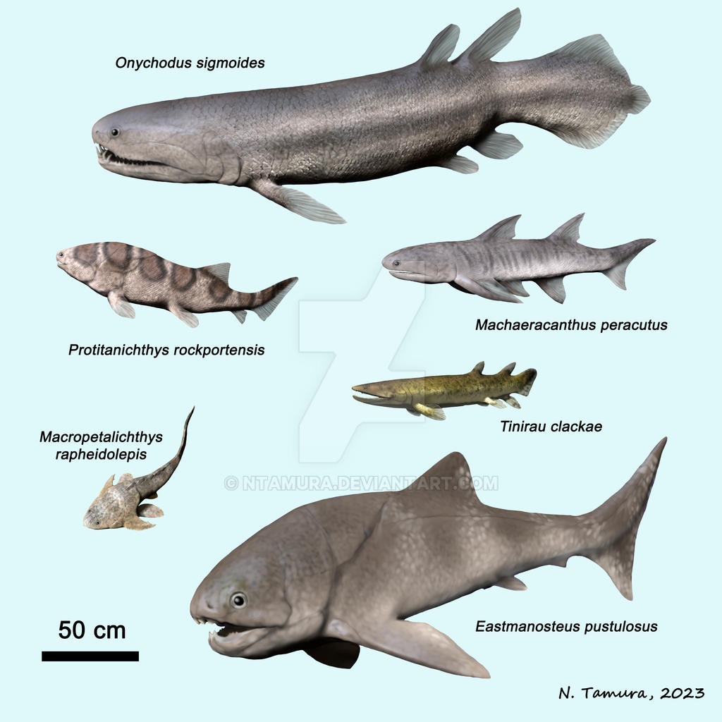 Devonian Fish Series #13 by NTamura on DeviantArt