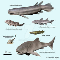 Devonian Fish Series #13