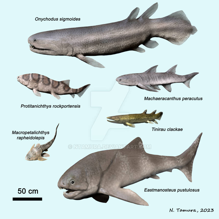 Devonian Fish Series #13 by NTamura on DeviantArt