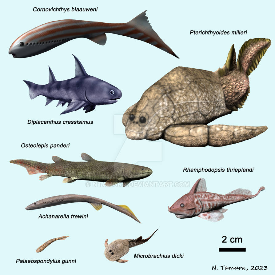 Devonian Fish Series #14 by NTamura on DeviantArt