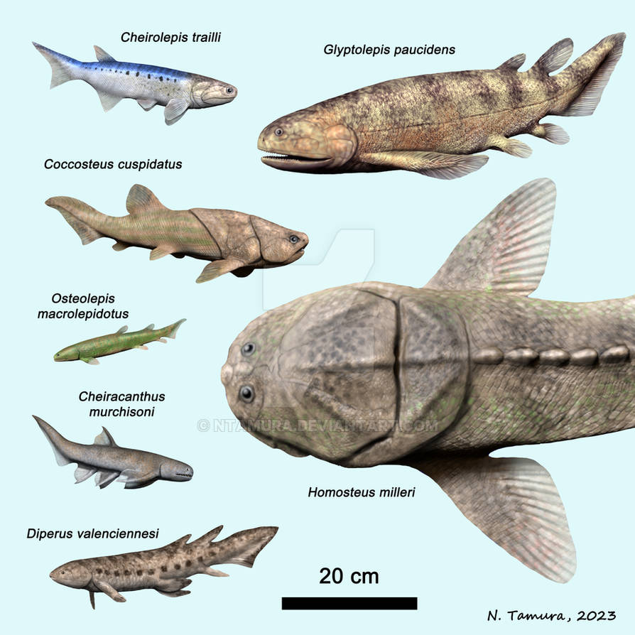 Devonian Fish Series #15 by NTamura on DeviantArt