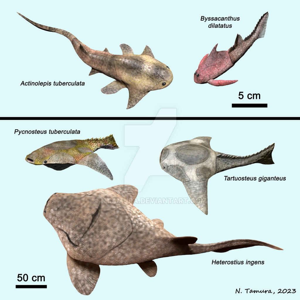 Devonian Fish Series #16 by NTamura on DeviantArt
