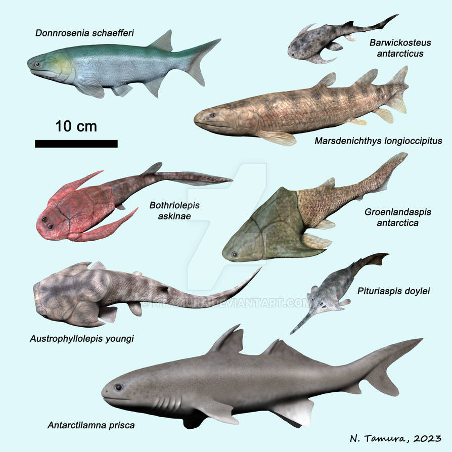 Devonian Fish Series #17 by NTamura on DeviantArt