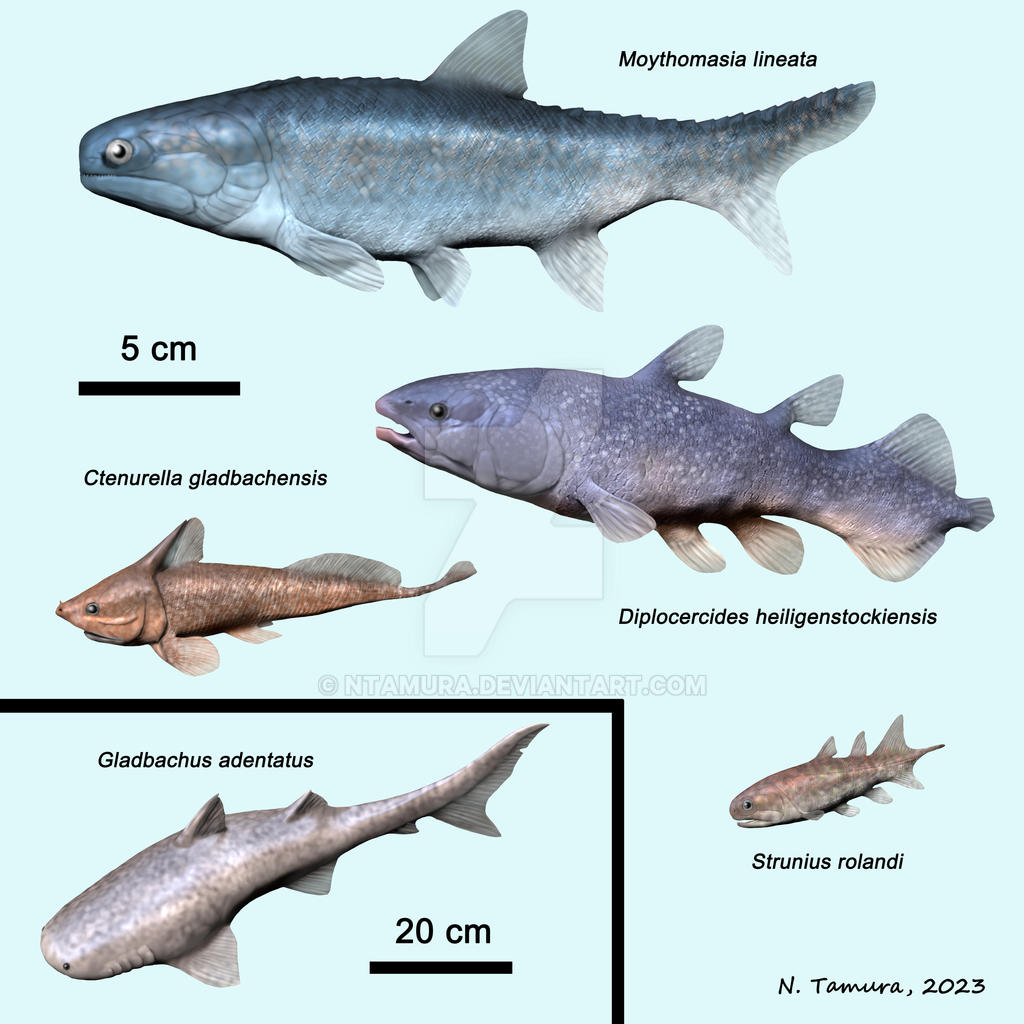 Devonian Fish Series #18 by NTamura on DeviantArt