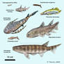 Devonian Fish Series #20