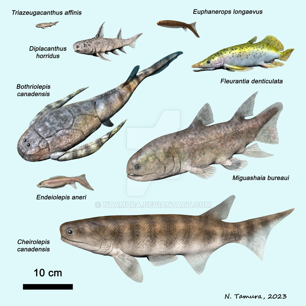 Devonian Fish Series #20 by NTamura on DeviantArt