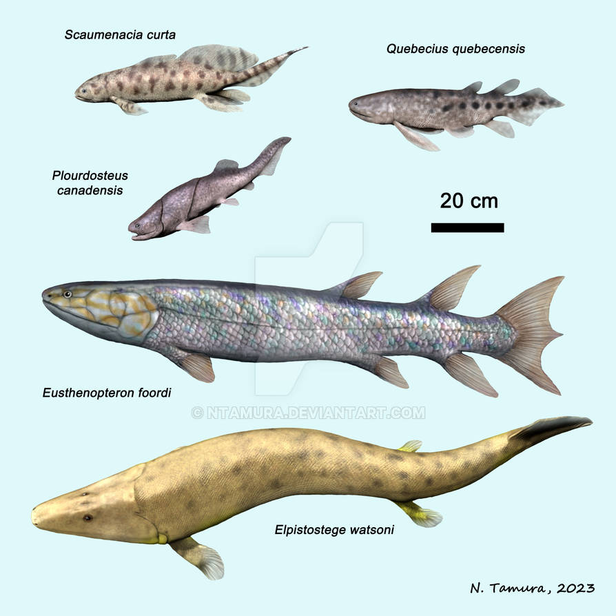 Devonian Fish Series #21 by NTamura on DeviantArt