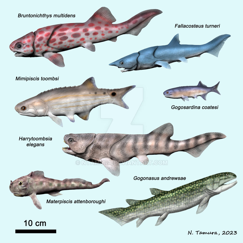 Devonian Fish Series #22 by NTamura on DeviantArt