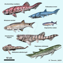 Devonian Fish Series #22