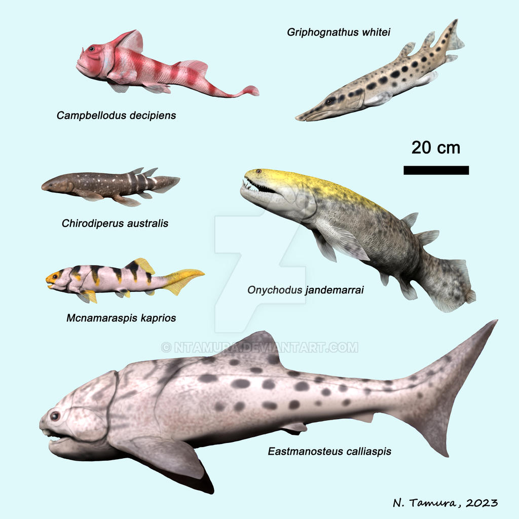 Devonian Fish Series #23 by NTamura on DeviantArt