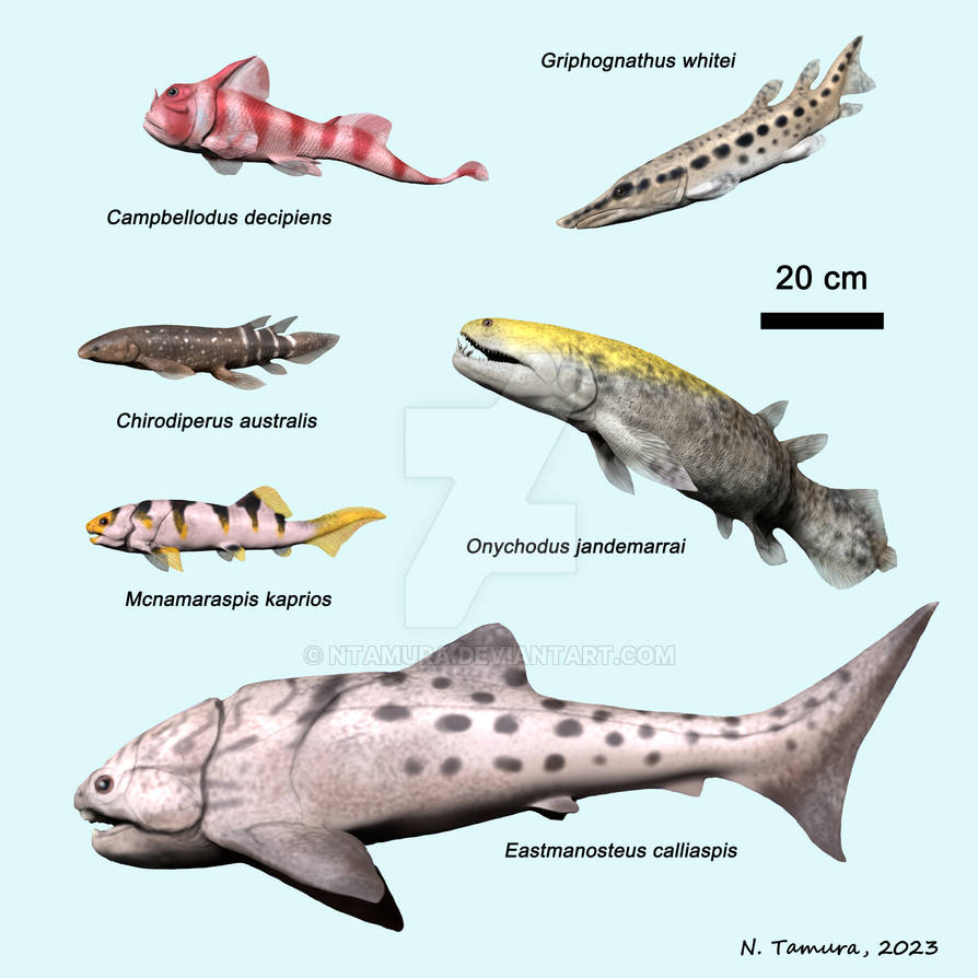 Devonian Fish Series #23 by NTamura on DeviantArt