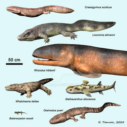 Carboniferous Vertebrates Series #3