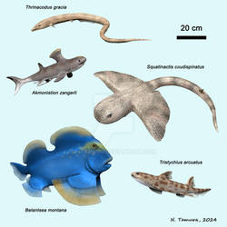 Carboniferous Vertebrates Series #5