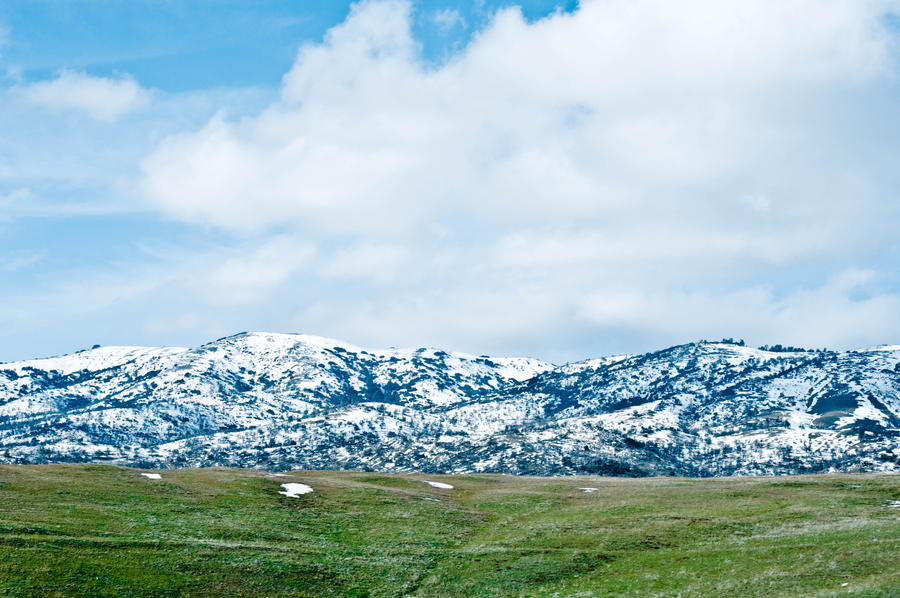 Bakersfield Frost