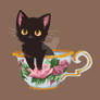 Teacup Kitten