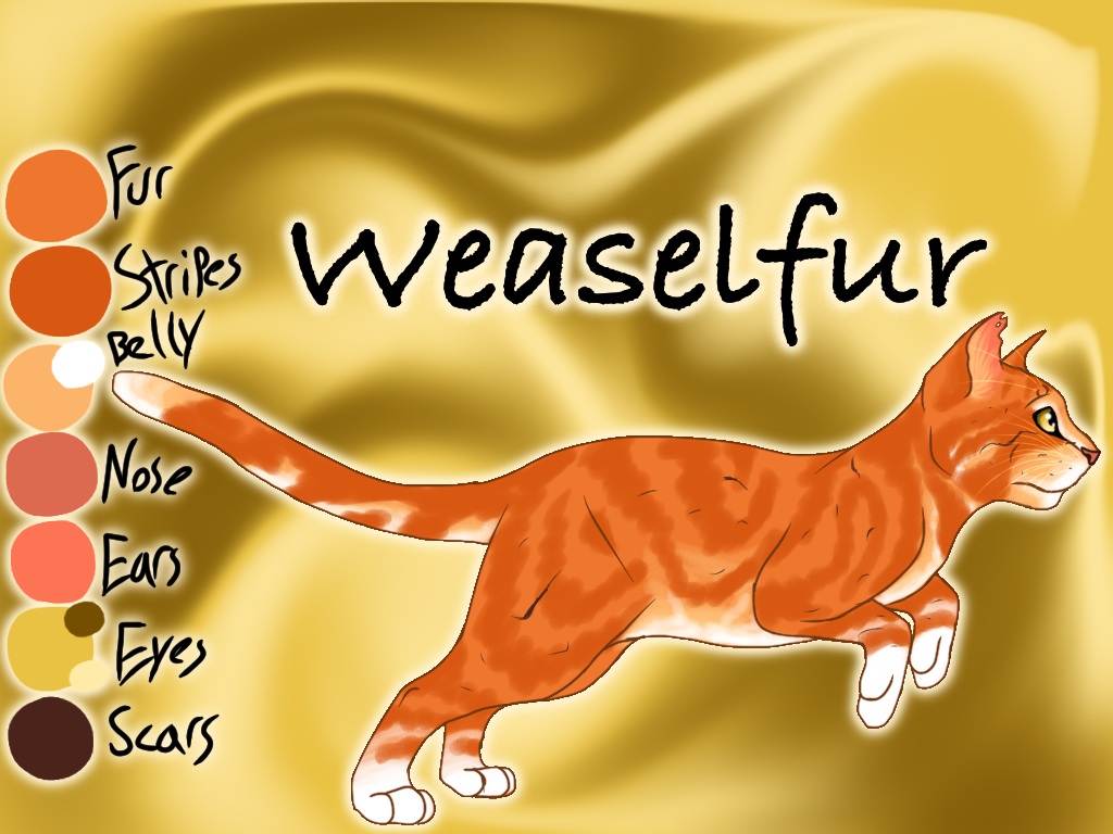 Weaselfur of WindClan - Faded Boundaries