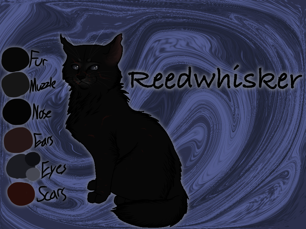 Reedwhisker of RiverClan