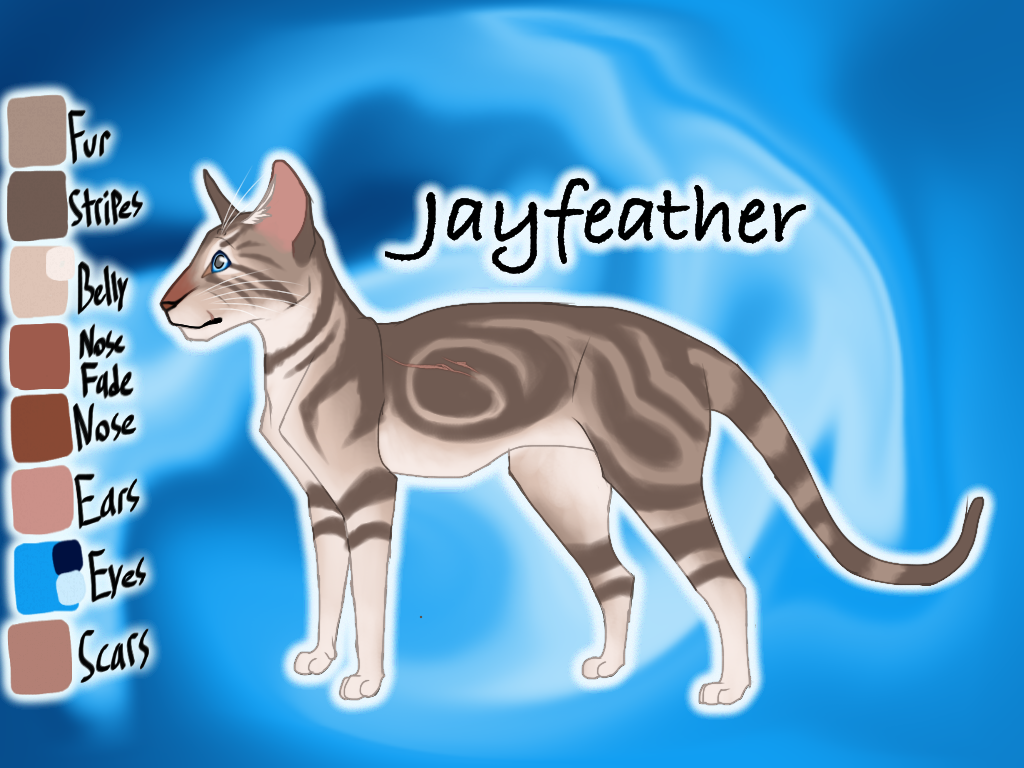 Jayfeather of ThunderClan - Faded Boundaries