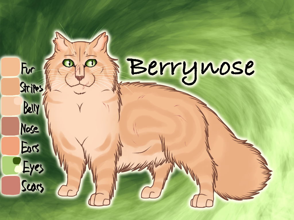 Berrynose of ThunderClan - Faded Boundaries