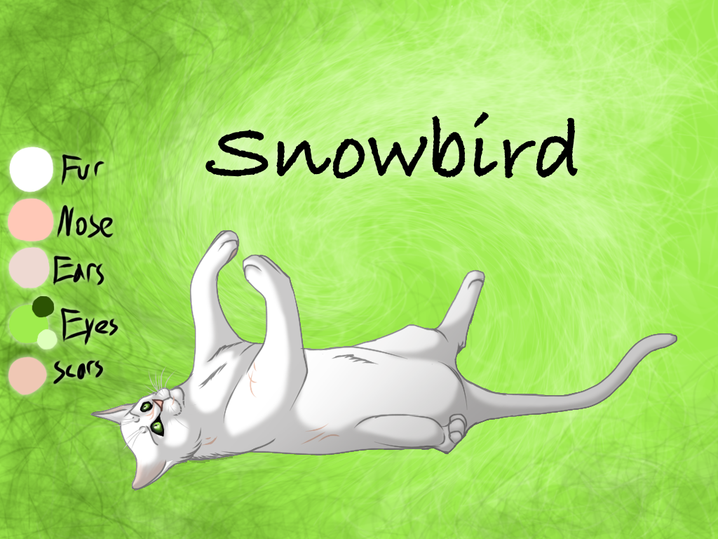 Snowbird of ShadowClan - Faded Boundaries