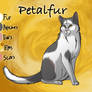 Petalfur of RiverClan - Faded Boundaries