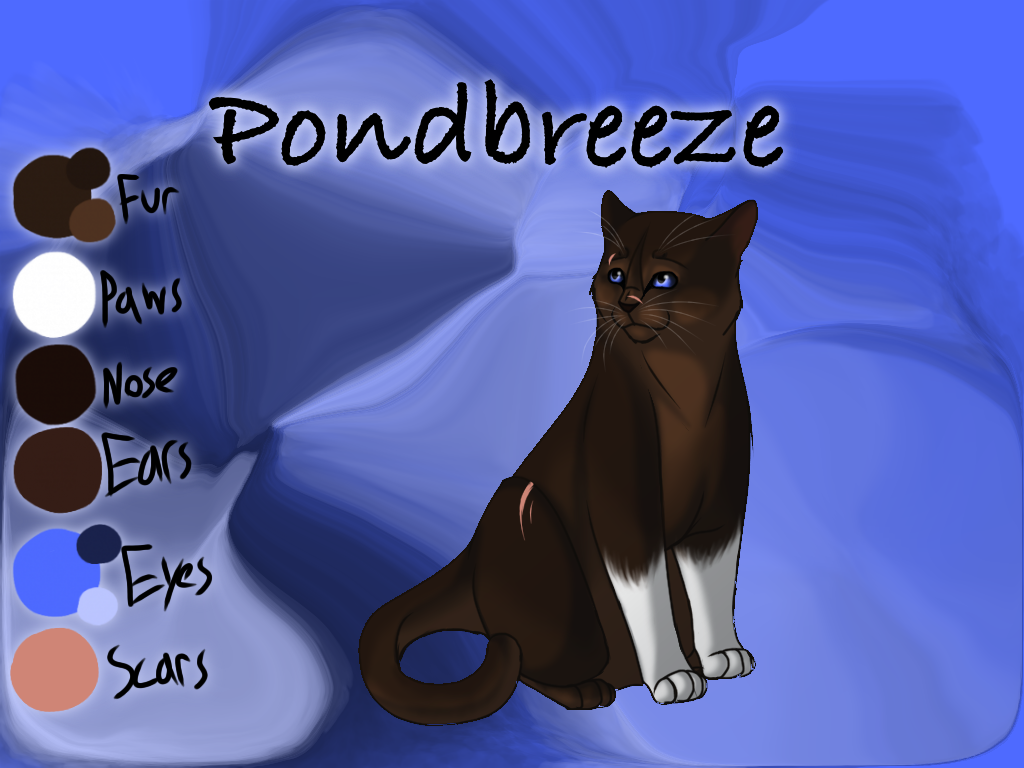 Pondbreeze of RiverClan - Faded Boundaries