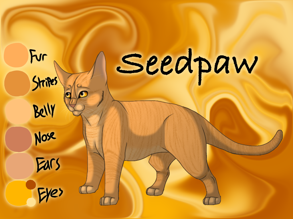 Seedpaw of ThunderClan - Faded Boundaries