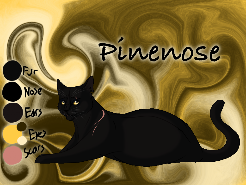 Pinenose of ShadowClan - Faded Boundaries