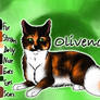 Olivenose of ShadowClan - The Broken Shadow