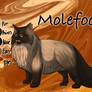 Molefoot of ThunderClan - Waning Moon