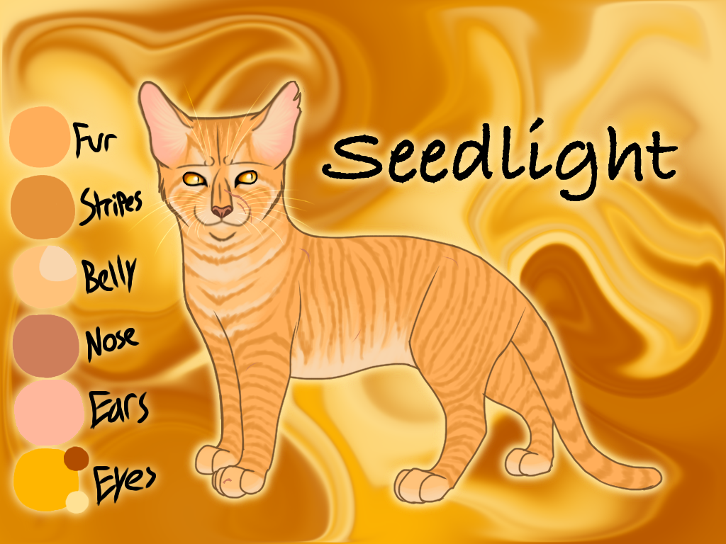 Seedlight of ThunderClan - Waning Moon