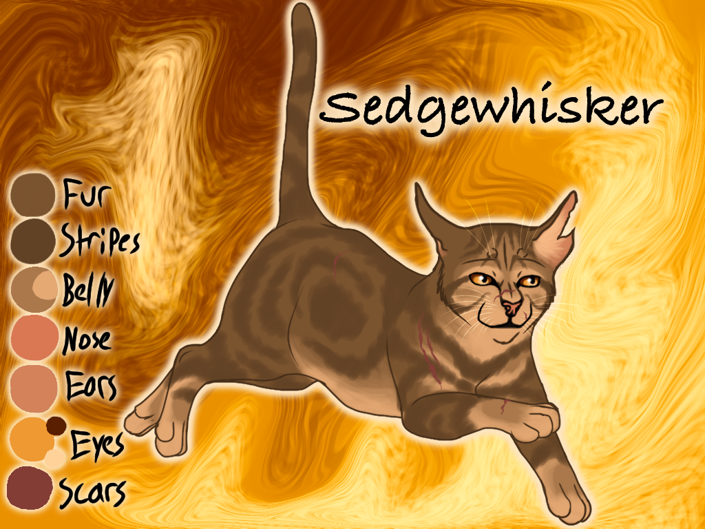 Sedgewhisker of WindClan - Waning Moon