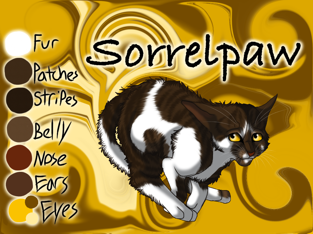 Sorrelpaw of WindClan - Waning Moon