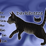 Darkbreeze of WindClan - Waning Moon