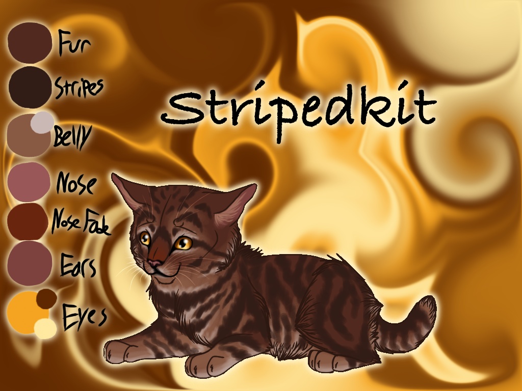 Stripedkit of ShadowClan - Faded Boundaries