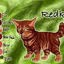 Redkit of ThunderClan - Waning Moon