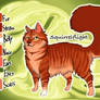 Squirrelflight of ThunderClan - Trail of Ashes