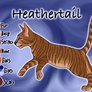 Heathertail of WindClan - Trail of Ashes