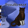 Pondbreeze of RiverClan - Silent Sacrifice