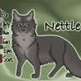 Nettle of SkyClan - Moth Flight's Vision