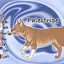 Palestripe of WindClan - Silent Sacrifice