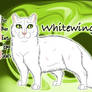 Whitewing of ThunderClan - The Last Hope