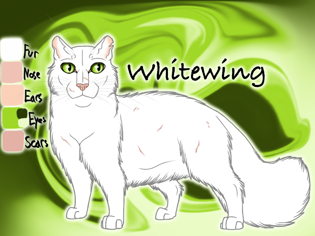 Whitewing of ThunderClan - The Last Hope