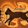 Antpelt of WindClan - Sign of the Moon