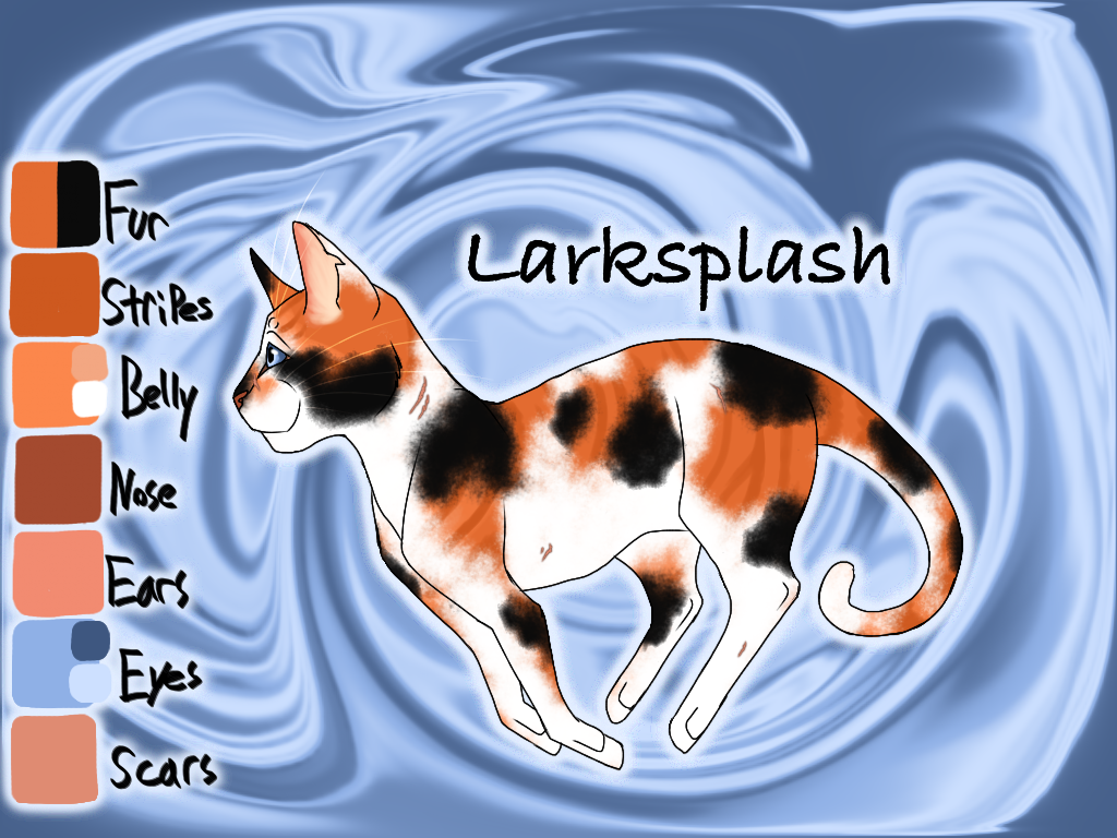 Larksplash, Warriors Wiki